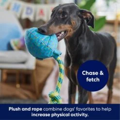 Frisco Birthday Balloon Plush With Rope Squeaky Dog Toy -Dog Supplies Sale 177807 PT3. AC SS1800 V1695241973