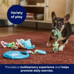 Frisco Little Friends Plush, Flyer & TPR Variety Pack Dog Toy -Dog Supplies Sale 177816 PT5. AC SS1800 V1691783909