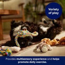 Frisco Jungle Pals Plush & Rope Variety Pack Dog Toy -Dog Supplies Sale 177819 PT5. AC SS1800 V1691784249