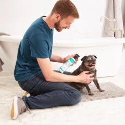 Frisco Aloe Hydrating Dog & Cat Spray, Sweet Nectar Scent -Dog Supplies Sale 192084 PT3. AC SS1800 V1585321073