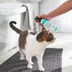 Frisco Aloe Hydrating Dog & Cat Spray, Sweet Nectar Scent -Dog Supplies Sale 192084 PT4. AC SS1800 V1589487682