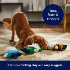 Frisco Gnome Plush Squeaky Dog Toy -Dog Supplies Sale 204507 PT3. AC SS1800 V1695242179