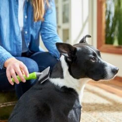 Frisco Soft Slicker Dog Brush, One Size -Dog Supplies Sale 206869 PT4. AC SS1800 V1680186388