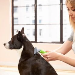 Frisco Deshedding Dog & Cat Brush -Dog Supplies Sale 206892 PT6. AC SS1800 V1680186216