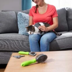 Frisco Beginner Grooming Kit For Dogs And Cats -Dog Supplies Sale 206909 PT6. AC SS1800 V1680186162