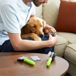 Frisco Beginner Grooming Kit For Dogs And Cats -Dog Supplies Sale 206909 PT7. AC SS1800 V1680186156