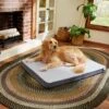 Frisco Cooling Orthopedic Pillow Dog Bed W/Removable Cover -Dog Supplies Sale 210223 MAIN. AC SS1800 V1590067616