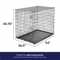Dog Supplies Sale -Dog Supplies Sale 210677 PT1. AC SS1800 V1667227472