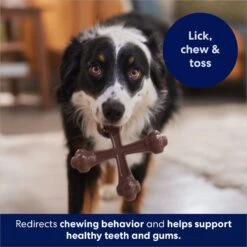 Frisco Bacon Flavor Tough Nylon Dog Chew Toy -Dog Supplies Sale 213430 PT5. AC SS1800 V1691783968