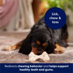 Frisco Chicken Flavor Tough Nylon Dog Chew Toy -Dog Supplies Sale 213432 PT5. AC SS1800 V1691784031