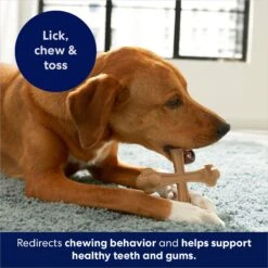 Frisco Peanut Butter Flavor Tough Nylon Dog Chew Toy -Dog Supplies Sale 213436 PT5. AC SS1800 V1692019972