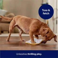 Frisco Frosted Pastry Stuffing-Free Flat Plush Squeaky Dog Toy -Dog Supplies Sale 213812 PT5. AC SS1800 V1686579088