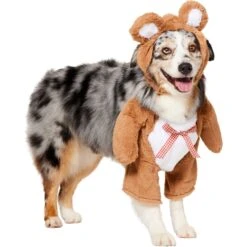 Frisco Front Walking Teddy Bear Dog & Cat Costume -Dog Supplies Sale 215507 PT3. AC SS1800 V1624402415
