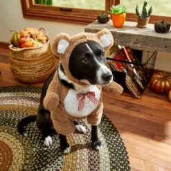 Frisco Front Walking Teddy Bear Dog & Cat Costume -Dog Supplies Sale 215507 PT8. AC SS1800 V1689628224