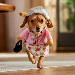 Frisco Front Walking Granny Dog & Cat Costume -Dog Supplies Sale 215577 PT8. AC SS1800 V1689621333