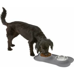 Frisco Silicone Stainless Steel Double Diner Dog & Cat Bowl -Dog Supplies Sale 215990 PT5. AC SS1800 V1605662218