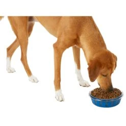 Frisco Chevron Design Glass Bowl With Silicone Sleeve -Dog Supplies Sale 216049 PT6. AC SS1800 V1605654757