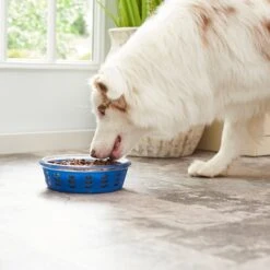 Frisco Chevron Design Glass Bowl With Silicone Sleeve -Dog Supplies Sale 216049 PT7. AC SS1800 V1605664319