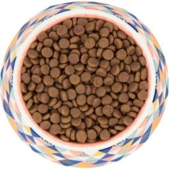 Frisco Colorful Geometric Melamine Bowl -Dog Supplies Sale 216054 PT4. AC SS1800 V1591020757