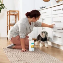 Frisco Vinegar Cleaning Wipes, 70 Count -Dog Supplies Sale 222151 PT4. AC SS1800 V1602847932