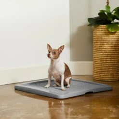 Frisco Training Pad Holder -Dog Supplies Sale 227474 PT6. AC SS1800 V1604701643