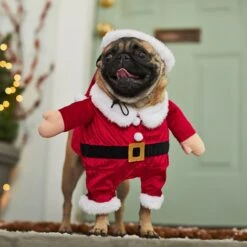 Frisco Front Walking Santa Dog & Cat Costume, 1 Count -Dog Supplies Sale 228785 PT7. AC SS1800 V1601560869