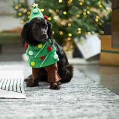 Frisco Front Walking Christmas Tree Dog & Cat Costume -Dog Supplies Sale 229164 PT7. AC SS1800 V1601385981