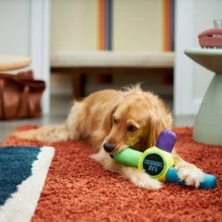 Frisco Retro Whack It! Ballistic Nylon Plush Squeaky Dog Toy -Dog Supplies Sale 230302 PT3. AC SS1800 V1601947283