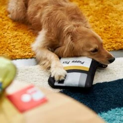 Frisco Retro Floppy Disc Ballistic Nylon Plush Squeaky Dog Toy 7 Frisco Retro Floppy Disc Ballistic Nylon Plush Squeaky Dog Toy -Dog Supplies Sale 230304 PT3. AC SS1800 V1602639753