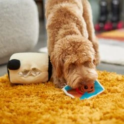 Frisco Retro Camera 2-in-1 Rip For Surprise Plush Squeaky Dog Toy -Dog Supplies Sale 230306 PT3. AC SS1800 V1602639779