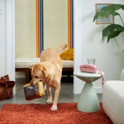 Frisco Retro Television Ballistic Nylon Plush Squeaky Dog Toy -Dog Supplies Sale 230308 PT3. AC SS1800 V1601947325