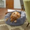 Frisco Velvet Round Bolster Dog Bed W/Removable Cover -Dog Supplies Sale 232178 MAIN. AC SS1800 V1602013291