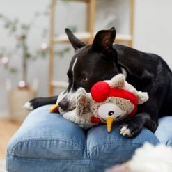 Frisco Holiday Owl Plush Squeaky Dog Toy 10 Frisco Holiday Owl Plush Squeaky Dog Toy -Dog Supplies Sale 233160 PT2. AC SS1800 V1601304724