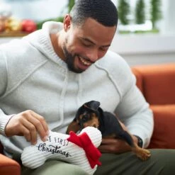 Frisco Holiday My First Christmas Bone Plush Squeaky Dog Toy -Dog Supplies Sale 233166 PT2. AC SS1800 V1601304755