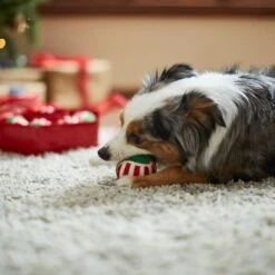 Frisco Holiday Wreath Fetch Squeaky Tennis Ball Dog Toy -Dog Supplies Sale 233189 PT3. AC SS1800 V1665759769