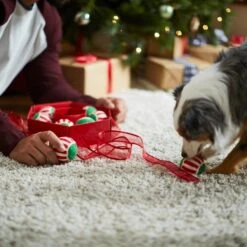 Frisco Holiday Wreath Fetch Squeaky Tennis Ball Dog Toy -Dog Supplies Sale 233189 PT5. AC SS1800 V1601919657