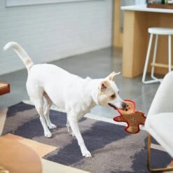 Frisco Holiday Gingerbread Man Flat Plush Squeaky Dog Toy -Dog Supplies Sale 233241 PT2. AC SS1800 V1601311903