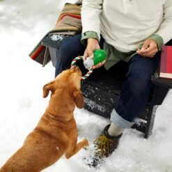 Frisco Holiday Christmas Light Rope With TPR Squeaky Dog Toy -Dog Supplies Sale 233278 PT2. AC SS1800 V1601641574