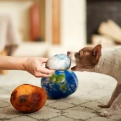 Frisco Earth, Mars, And Moon Plush Squeaky Dog Toy -Dog Supplies Sale 233587 PT3. AC SS1800 V1600973771