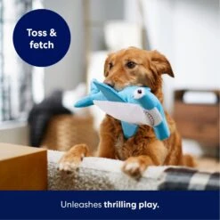 Frisco Hammerhead Shark Ballistic Nylon Plush Squeaky Dog Toy -Dog Supplies Sale 233593 PT4. AC SS1800 V1695748352