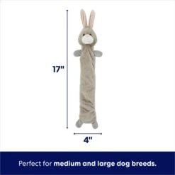 Frisco Bunny Bungee Plush Squeaky Dog Toy -Dog Supplies Sale 233612 PT1. AC SS1800 V1691784031