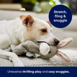 Frisco Bunny Bungee Plush Squeaky Dog Toy -Dog Supplies Sale 233612 PT5. AC SS1800 V1691783971