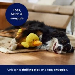 Frisco Duck Plush Squeaky Dog Toy -Dog Supplies Sale 233613 PT4. AC SS1800 V1695670688