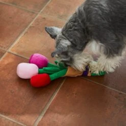 Frisco Valentine Rose Bouquet Plush Squeaky Dog Toy -Dog Supplies Sale 241733 PT6. AC SS1800 V1607990908