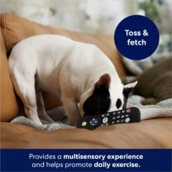 Frisco Zoomies & Chill Remote Latex Squeaky Dog Toy -Dog Supplies Sale 241753 PT6. AC SS1800 V1686580150