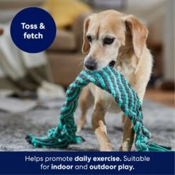 Frisco Flat Teal & Gray Braided Rope Squeaky Fetch Dog Toy -Dog Supplies Sale 242127 PT3. AC SS1800 V1695242179