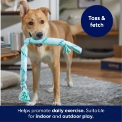 Frisco Double Fun Rope Crinkle Fetch Dog Toy -Dog Supplies Sale 242137 PT3. AC SS1800 V1695242178