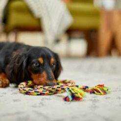 Frisco Pretzel Rope Dog Toy -Dog Supplies Sale 242141 PT2. AC SS1800 V1605208795