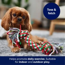 Frisco Double Knot Tri-Color Rope Fetch Dog Toy -Dog Supplies Sale 242149 PT3. AC SS1800 V1695241915