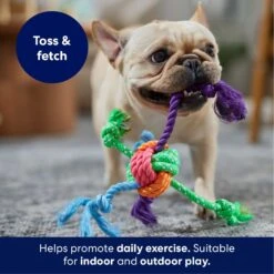 Frisco Fetch Colorful Ball Knot Rope Dog Toy -Dog Supplies Sale 242159 PT3. AC SS1800 V1695242179